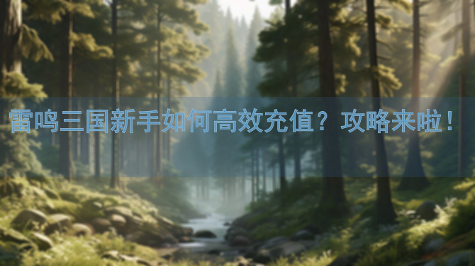 雷鸣三国新手如何高效充值？攻略来啦！🚀