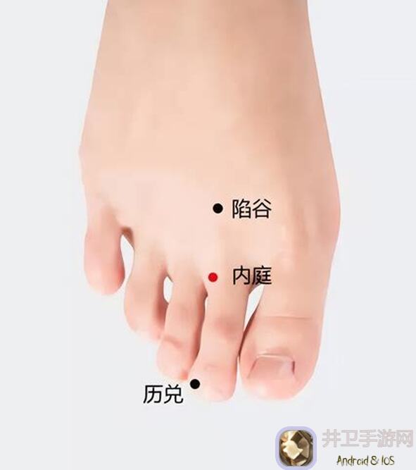 鸣潮V1.4配队太头疼？这份保姆级推荐，助你轻松上分不是梦！