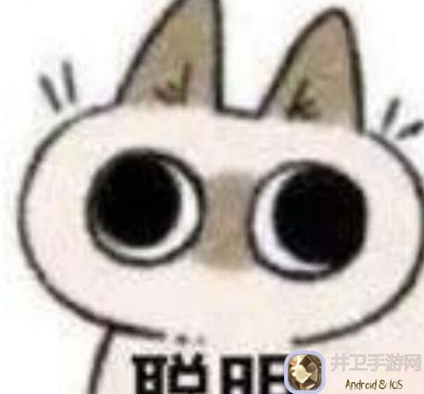 新手必看！冒险公社这些新手可能忽略的小细节