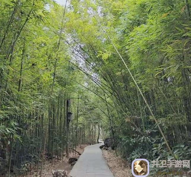 深度解析花千骨里的柴米油盐：攻略教学，让你迅速掌握花式战力提升方法！