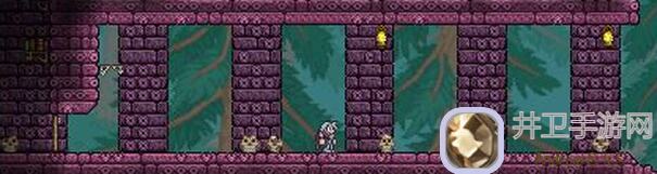 泰拉瑞亚攻略!揭秘右侧生命树下地牢的速通宝典与宝藏攻略