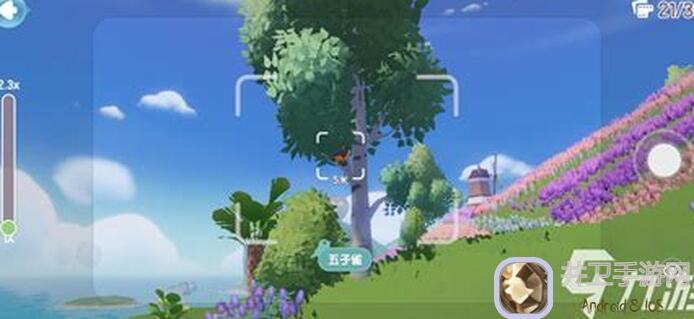 心动小镇观鸟、钓鱼、捕虫攻略大盘点！看完这个，钓鱼高手就诞生啦！